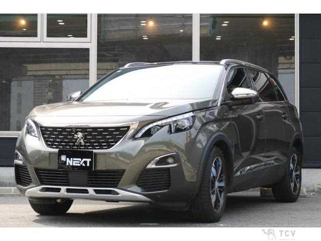 2019 Peugeot Peugoet Others