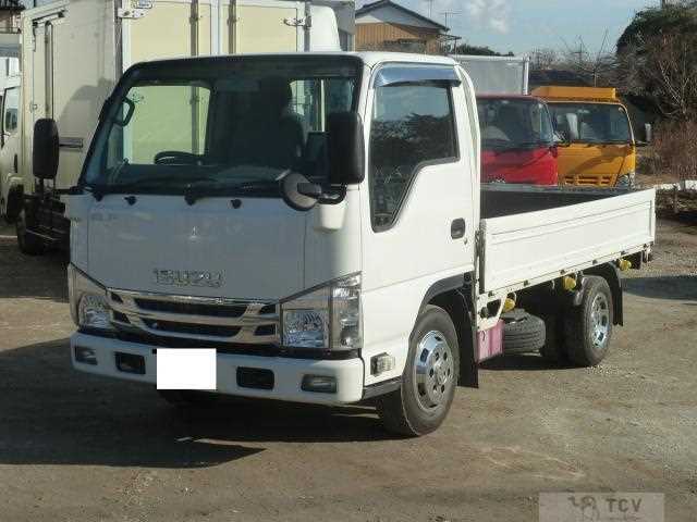 2019 Isuzu Elf Truck