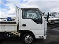 2017 Isuzu Elf Truck