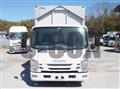 2020 Isuzu Elf Truck