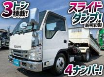 2019 Isuzu Elf Truck