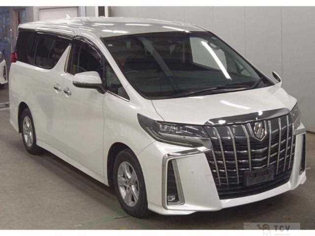2019 Toyota Alphard G