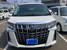 2022 Toyota Alphard G