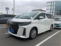 2020 Toyota Alphard G