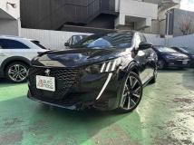 2020 Peugeot Peugoet Others