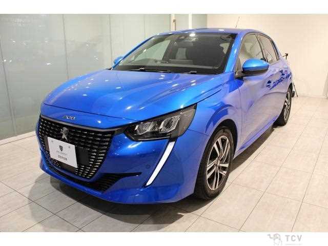 2020 Peugeot Peugoet Others