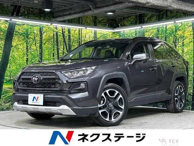 2019 Toyota RAV4