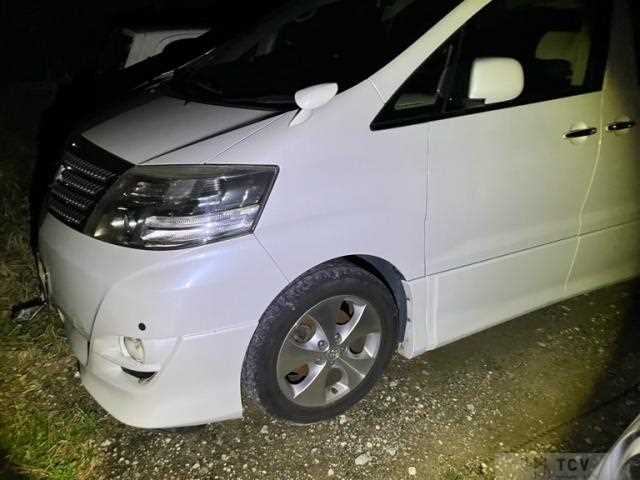 2008 Toyota Alphard G