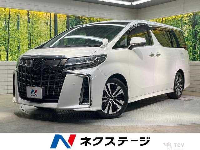 2019 Toyota Alphard G