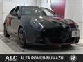 2021 Alfa Romeo Alfa Romeo Others