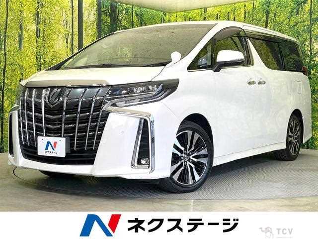 2019 Toyota Alphard G
