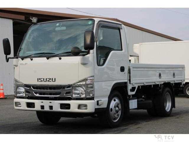 2017 Isuzu Elf Truck