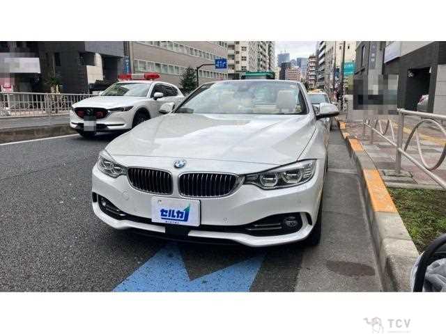 2015 BMW BMW Others