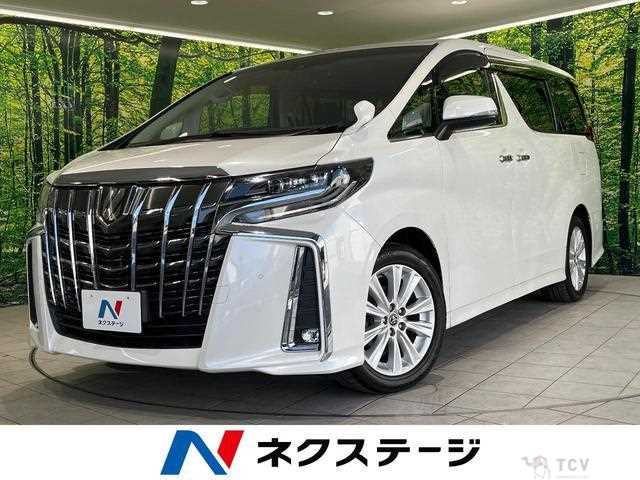 2019 Toyota Alphard G