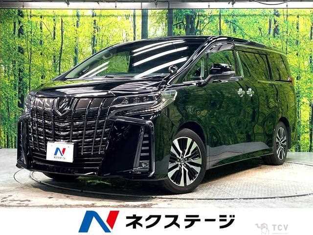 2019 Toyota Alphard G