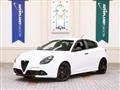 2019 Alfa Romeo Alfa Romeo Others