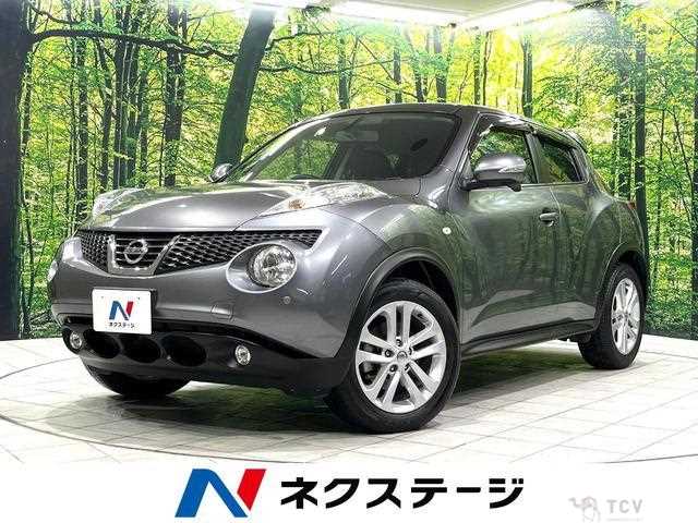 2011 Nissan Juke
