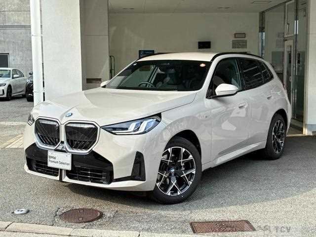 2025 BMW X3