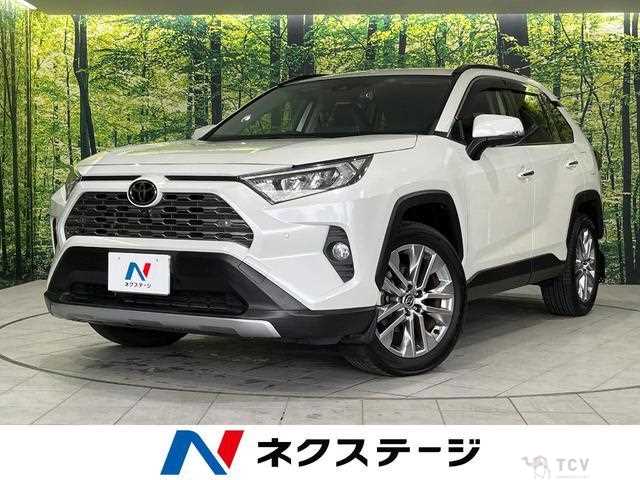 2020 Toyota RAV4