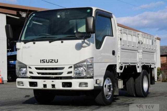 2018 Isuzu Elf Truck