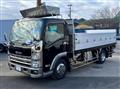 2013 Isuzu Elf Truck