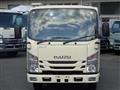 2017 Isuzu Elf Truck