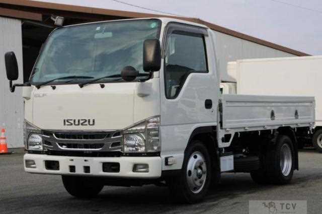 2017 Isuzu Elf Truck