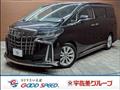 2019 Toyota Alphard G