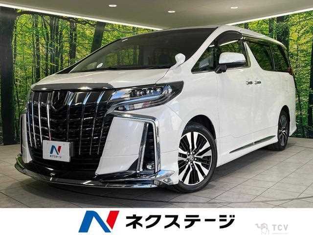 2019 Toyota Alphard G