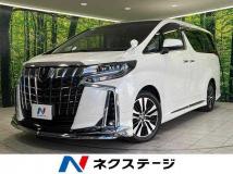 2019 Toyota Alphard G