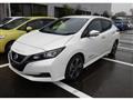 2019 Nissan Leaf