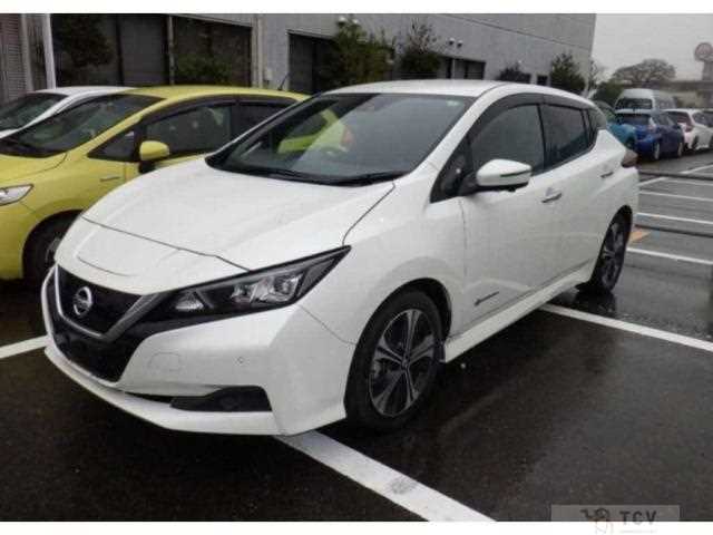 2019 Nissan Leaf