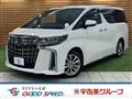 2021 Toyota Alphard G