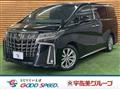2021 Toyota Alphard G
