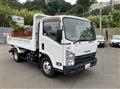 2017 Isuzu Elf Truck