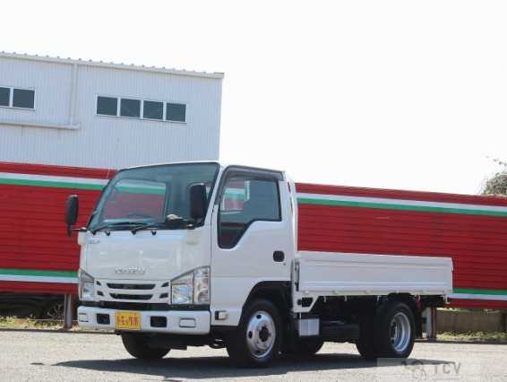 2019 Isuzu Elf Truck