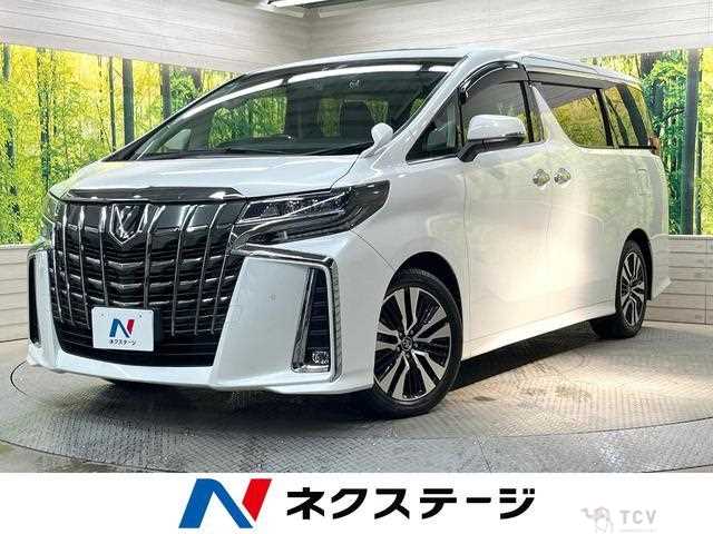 2019 Toyota Alphard G