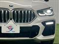 2020 BMW X6