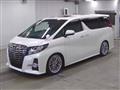 2017 Toyota Alphard G