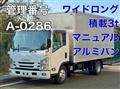 2017 Isuzu Elf Truck