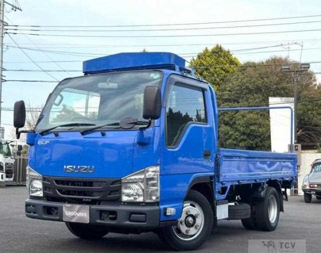 2019 Isuzu Elf Truck