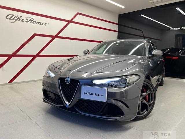 2019 Alfa Romeo Alfa Romeo Others