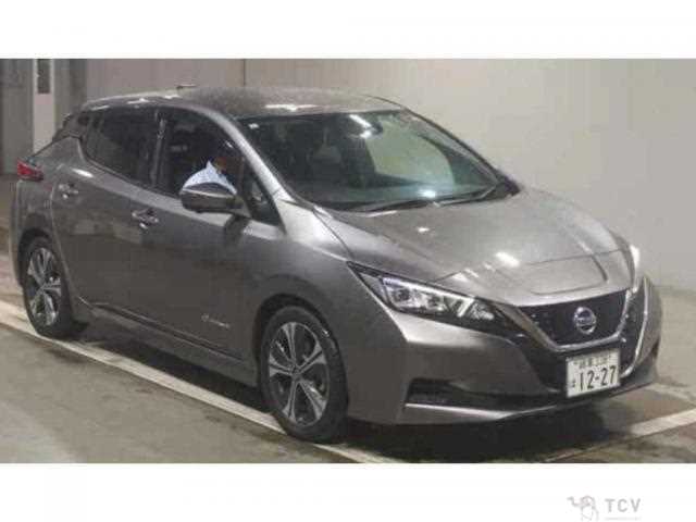 2019 Nissan Leaf