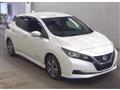 2021 Nissan Leaf