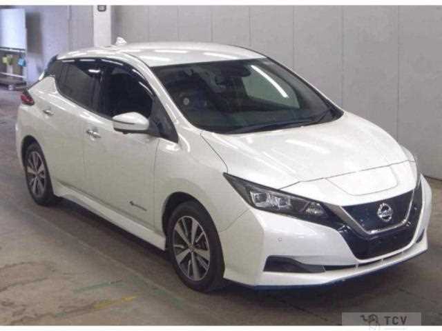 2021 Nissan Leaf