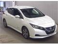 2021 Nissan Leaf