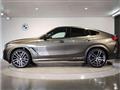 2025 BMW X6