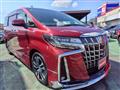 2018 Toyota Alphard G