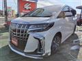 2019 Toyota Alphard G