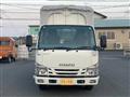 2019 Isuzu Elf Truck